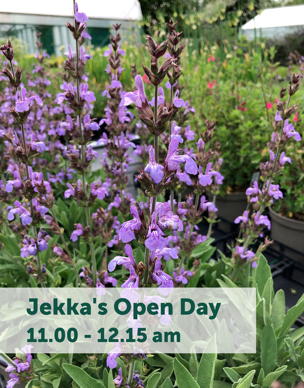 Jekka's Open Day E-Tickets- Saturday 1st April 2023