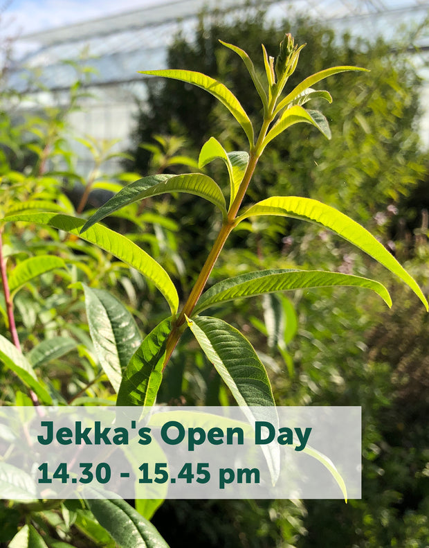 Jekka's Open Day E-Tickets- Saturday 1st April 2023