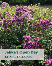 Jekka's Open Day E-Tickets- Friday 4th August 2023