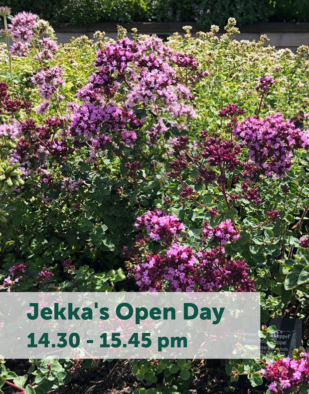 Jekka's Open Day E-Tickets- Friday 4th August 2023