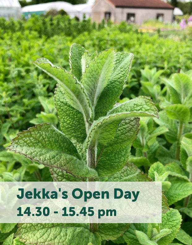 Jekka's Open Day E-Tickets- Friday 28th April 2023