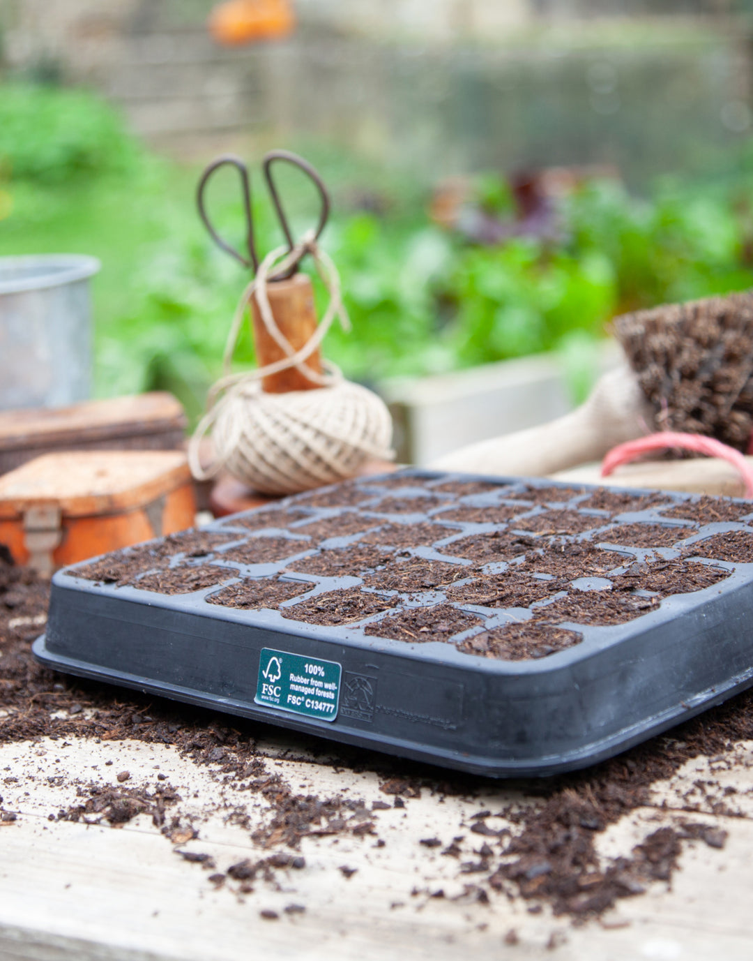 30 Cell Natural Rubber Seed Tray | Herb Gardening