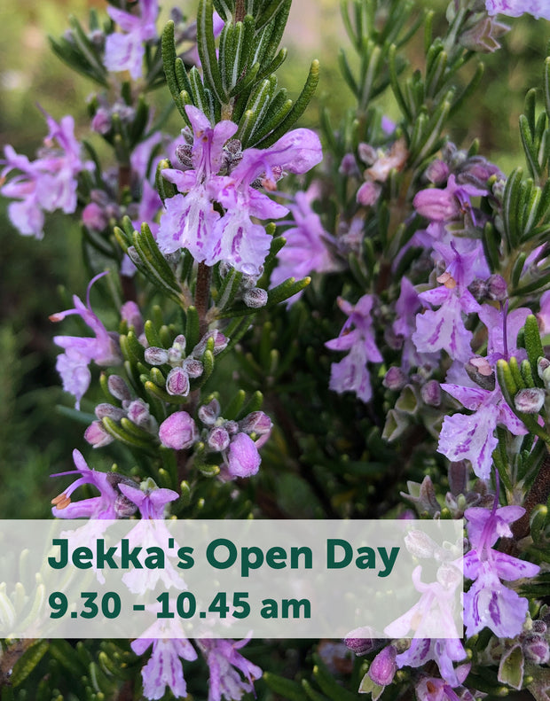 Jekka's Open Day E-Tickets- Friday 4th August 2023
