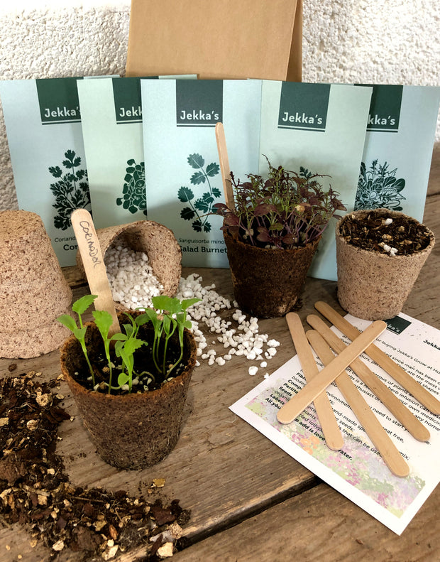 Jekka's Grow At Home Autumn Herb Kit