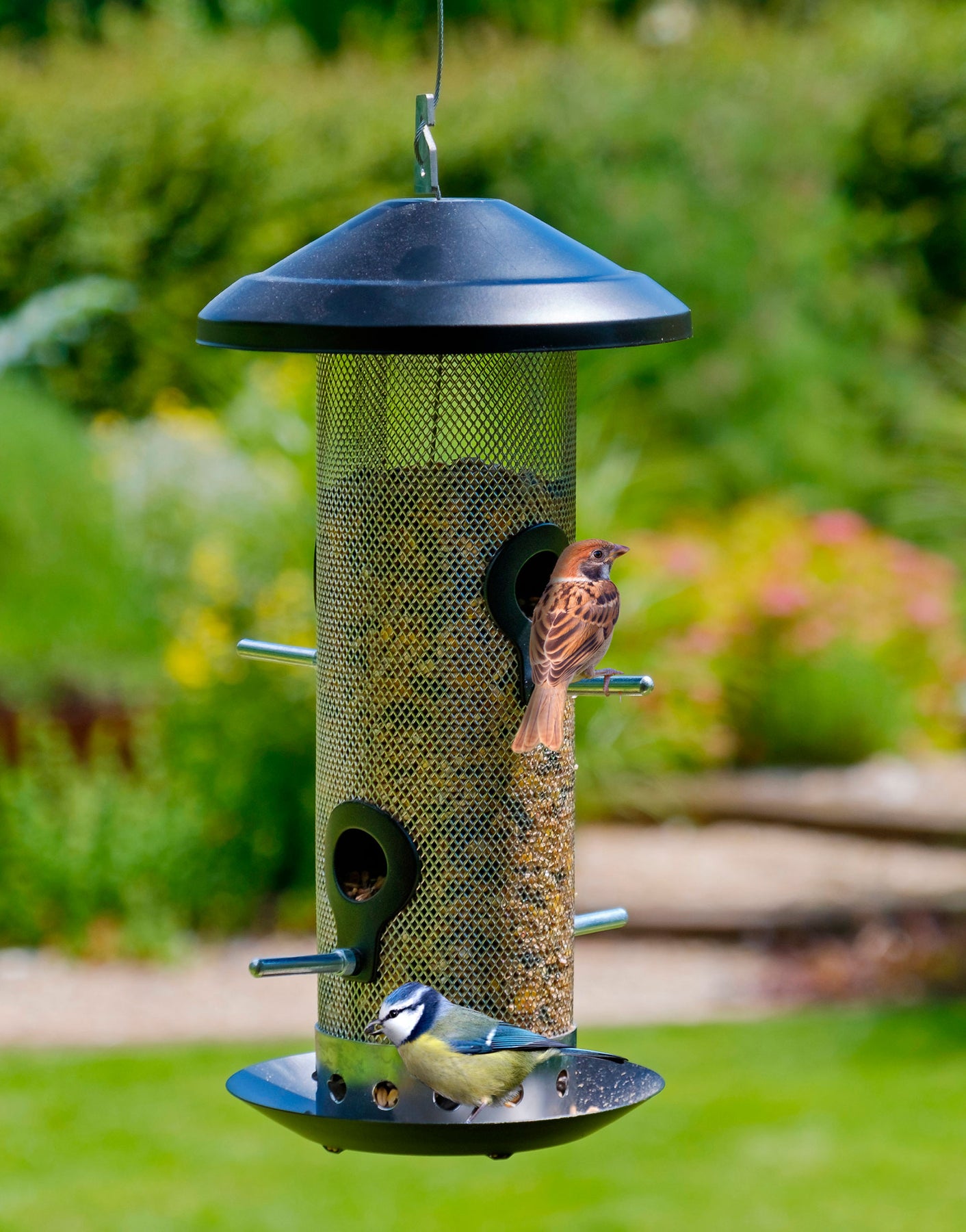 Seed Bird Feeder For the Garden Jekka's
