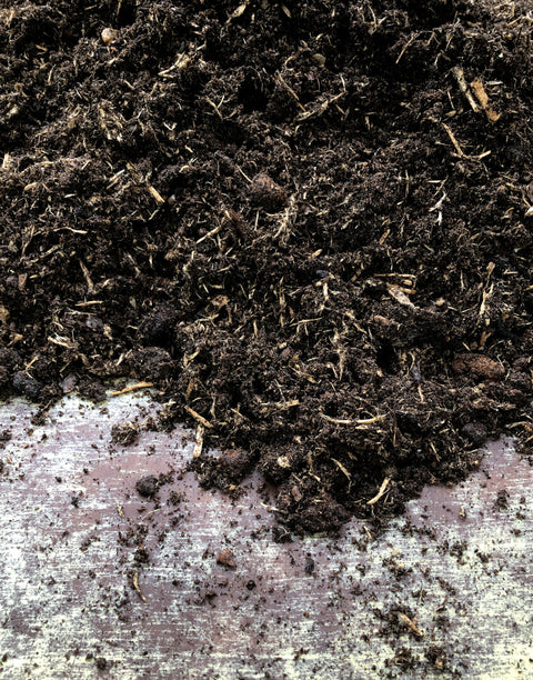 Jekka's potting compost