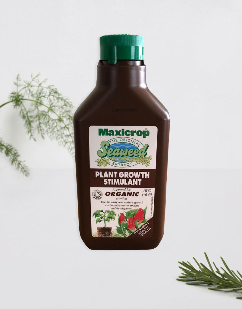 common indoor plants in india Maxicrop Original Seaweed Extract | Herb Gardening
