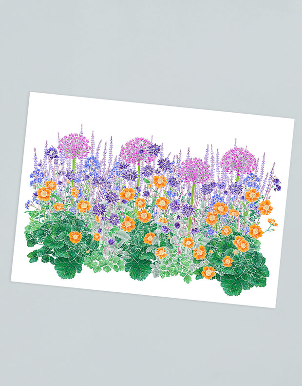 Illustrated Postcards