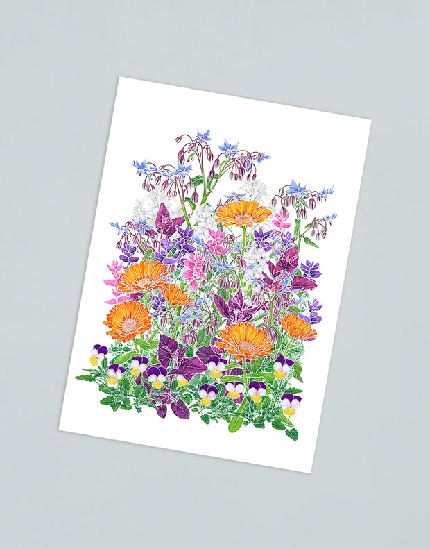 Illustrated Postcards