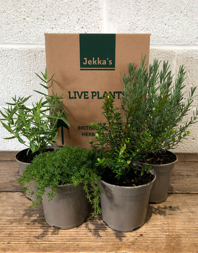 Jekka's Perennial Collection - 4 * 1 Ltr Herb Plants