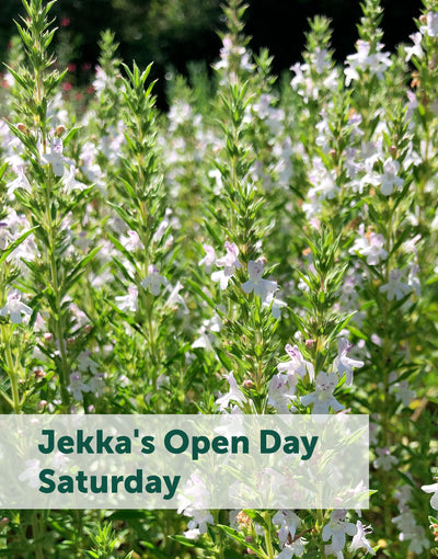Jekka's Open Day E-Tickets- Saturday 1st April 2023
