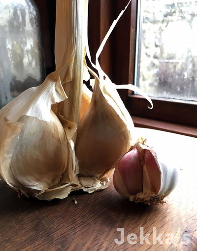 Jekkapedia: Garlic