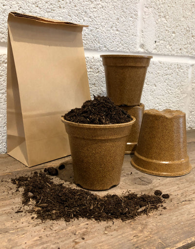 Jekka's "Grow On" Kit - 9 cm pots