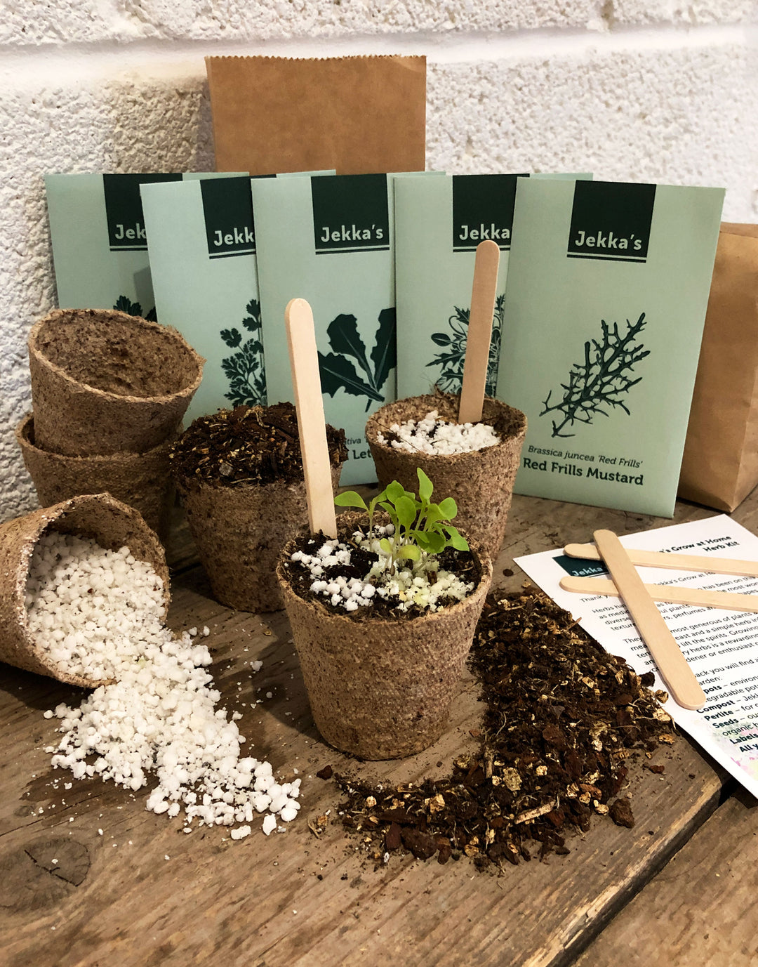 herbs seeds for planting Grow At Home Herb Salad Kit | Culinary herb seeds, compost & pots
