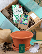 Jekka's Whichford Pottery Gardeners Gift Box (1 Half Pot)