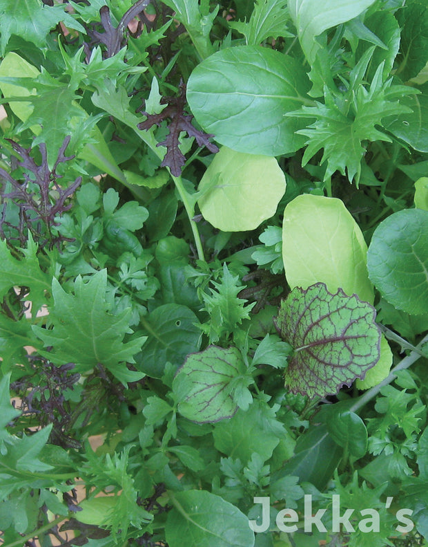 Jekka’s Spicy Salad Herb Mix