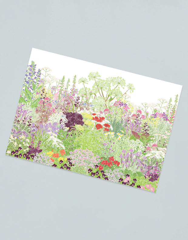 Illustrated Postcards