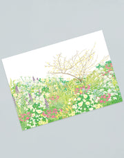 Illustrated Postcards