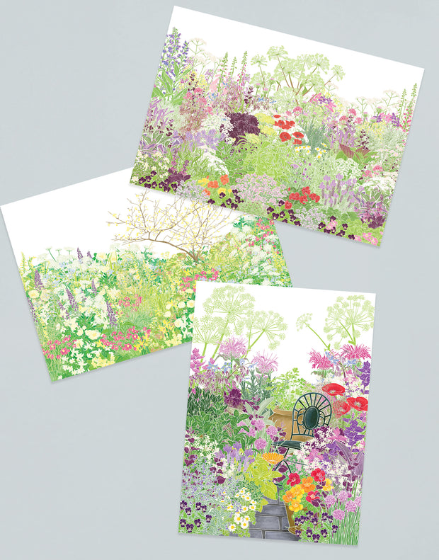 Illustrated Postcards