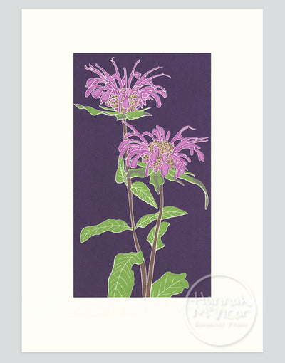 Bergamot Screenprint