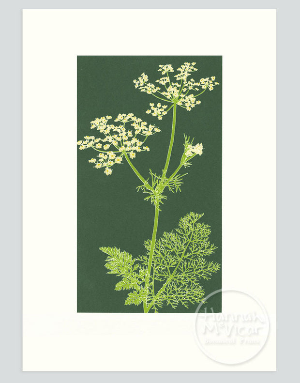 Caraway Screenprint